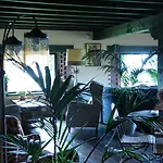 Hotel Paraje Del Asturcon - Adults Only
