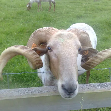 فندق Paraje Del Asturcon - Adults Only 3*