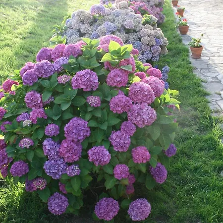 فندق Paraje Del Asturcon - Adults Only