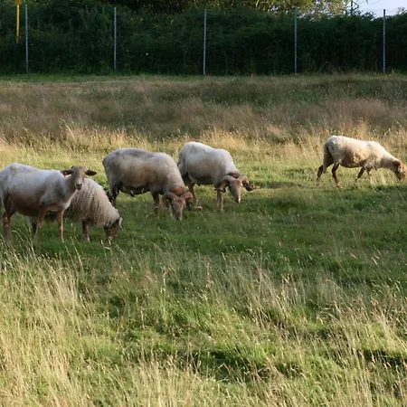 Paraje Del Asturcon - Adults Only ريباذيسييّا